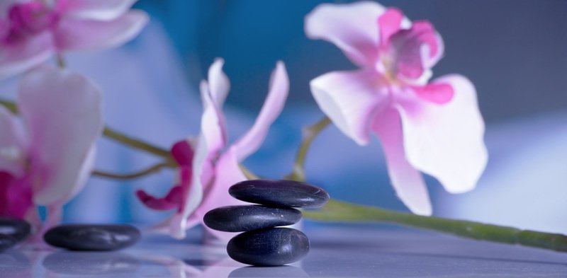 Blossom Plant Flower Purple Petal Relax 762339 Pxhere.com